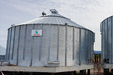 Silo chứa cám