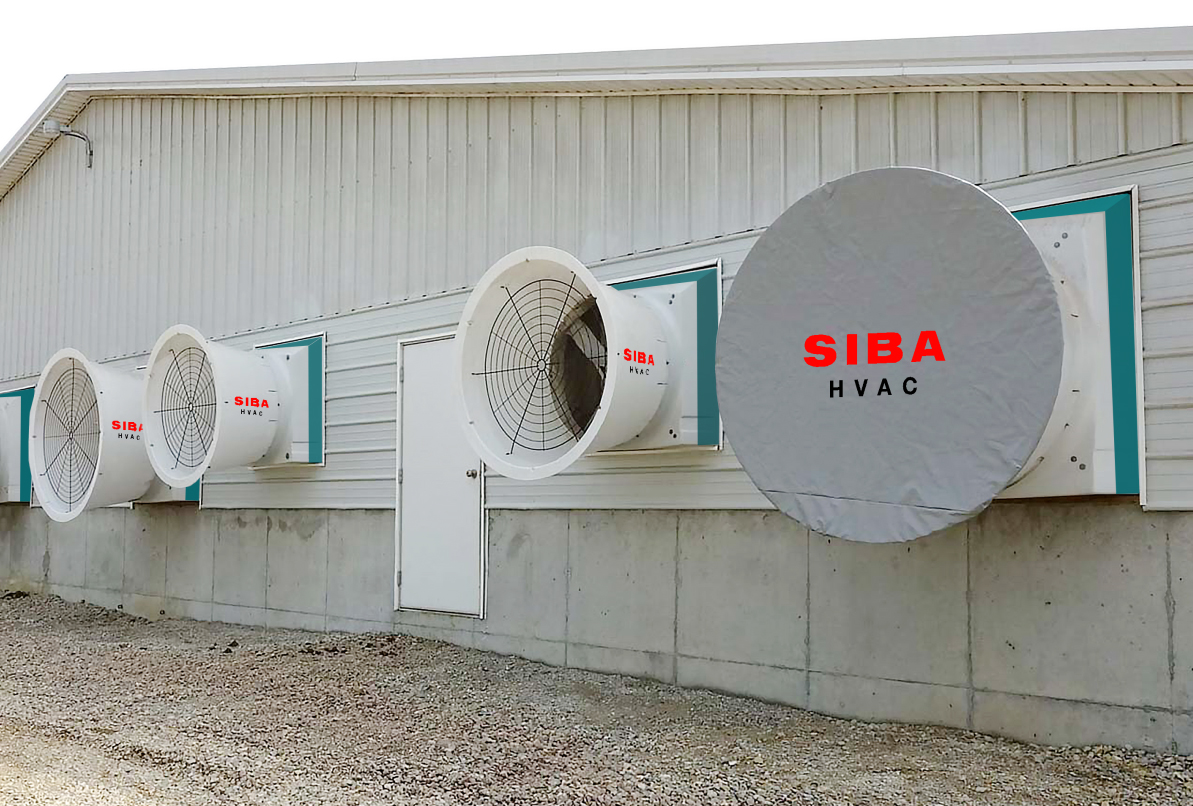 Dự án xây dựng trang trại heo tại miền Trung