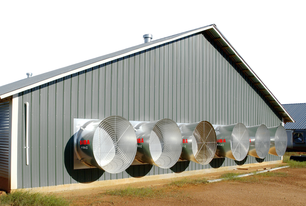 Hệ thống quạt turbo thông gió làm mát cho các trang trại chăn nuôi.