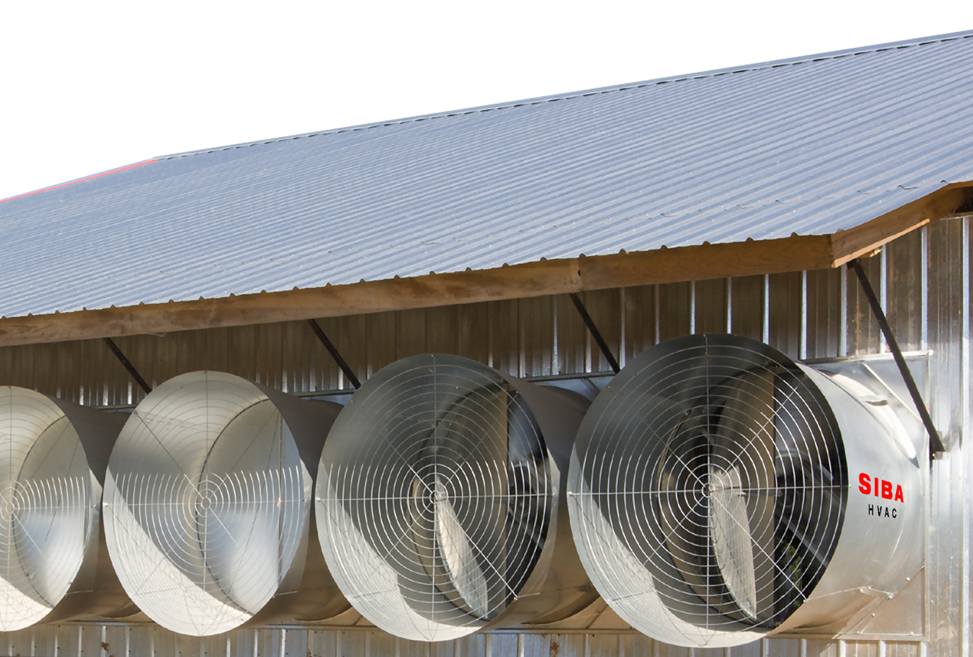 Hệ thống quạt turbo thông gió làm mát cho các trang trại chăn nuôi.